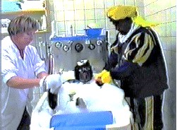 1996 Klik voor weergave van de video